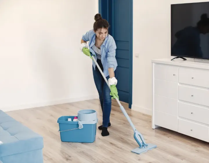 Femme de ménage Pruines